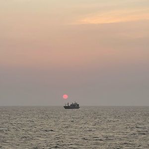 Hello! Thank you all for following and thank you for dropping by.